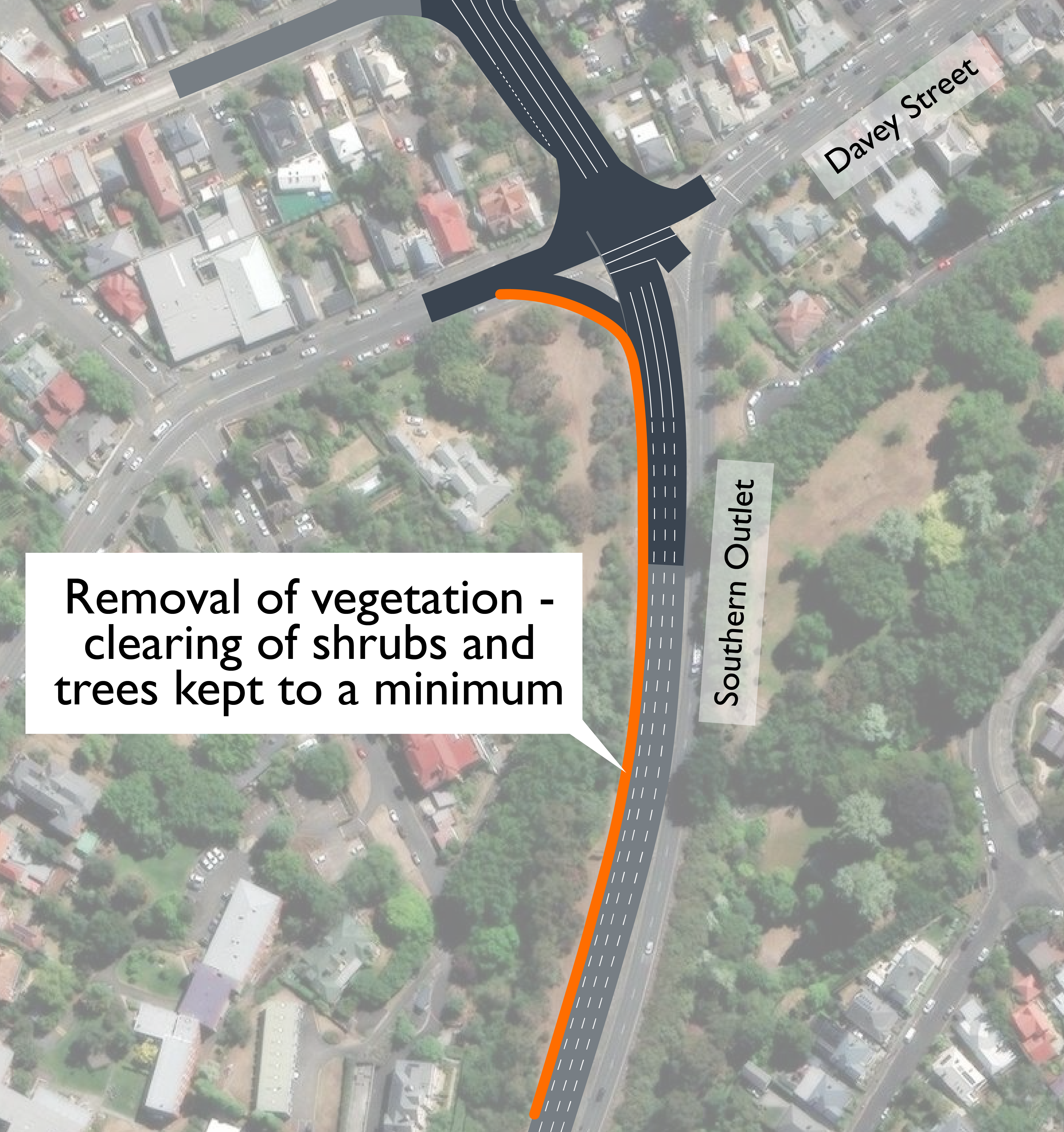 Southern Projects vegetation removal image June 2024